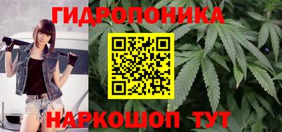 мяу мяу мука Бузулук